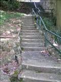 Steps